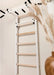 BenchK 231 B/W - Series 2 - BenchK wall bars with a convertible steel 6-grip pull-up bar that can also be used as a barbell holder - Home Gyms HQ