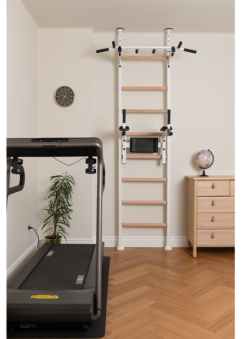 BenchK 522 B/W- Series 5 - BenchK wall bars that allow floor-to-ceiling mounting or the standard wall installation with a fixed steel 6-grip pull-up bar and a dip bar with back support - Home Gyms HQ