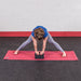 Body-Solid Tools - Accessories BSTYB10 - YOGA BLOCK - Home Gyms HQ