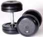 Troy - COMMPAC-RUFDR50 - Saddle Rack W/ 10 PR Pair Pro Commercial DBS - Home Gyms HQ