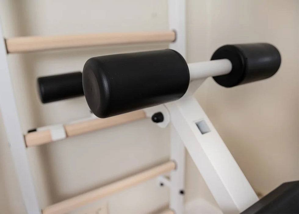 BenchK 233 B/W - Series 2 - BenchK wall bars with a convertible steel 6-grip pull-up bar that can also be used as a barbell holder, a dip bar with back support, and an advanced workout bench - Home Gyms HQ - 