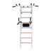 BenchK 232 B/W - Series 2 - BenchK wall bars with a convertible steel 6-grip pull-up bar that can also be used as a barbell holder, and a dip bar with back support - Home Gyms HQ - 