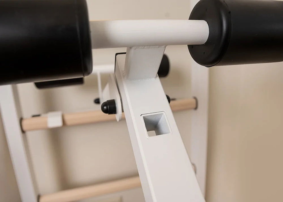 BenchK 223 B/W - Series 2 - BenchK wall bars with a fixed steel 6-grip pull-up bar, a dip bar with back support, and an advanced workout bench - Home Gyms HQ - 