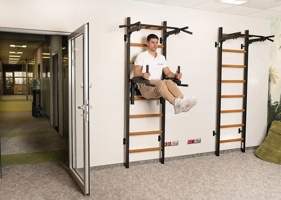 BenchK 222 B/W - Series 2 - BenchK wall bars with a fixed steel 6-grip pull-up bar, and a dip bar with back support - Home Gyms HQ - 