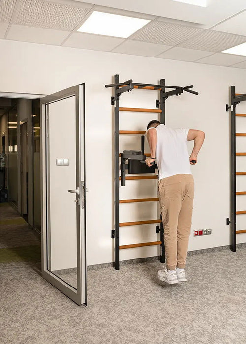 BenchK 222 B/W - Series 2 - BenchK wall bars with a fixed steel 6-grip pull-up bar, and a dip bar with back support - Home Gyms HQ - 