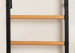 BenchK 222 B/W - Series 2 - BenchK wall bars with a fixed steel 6-grip pull-up bar, and a dip bar with back support - Home Gyms HQ - 